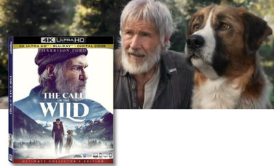 Harrison Ford In The Call Of The Wild On Digital Now And Arriving On 4k Ultra Hd Blu Ray Blu Ray And Dvd May 12th We Are Movie Geeks