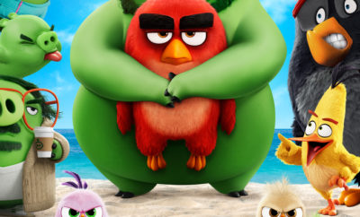 friends (from the angry birds movie)