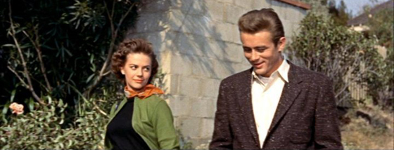 rebel without a cause natalie wood